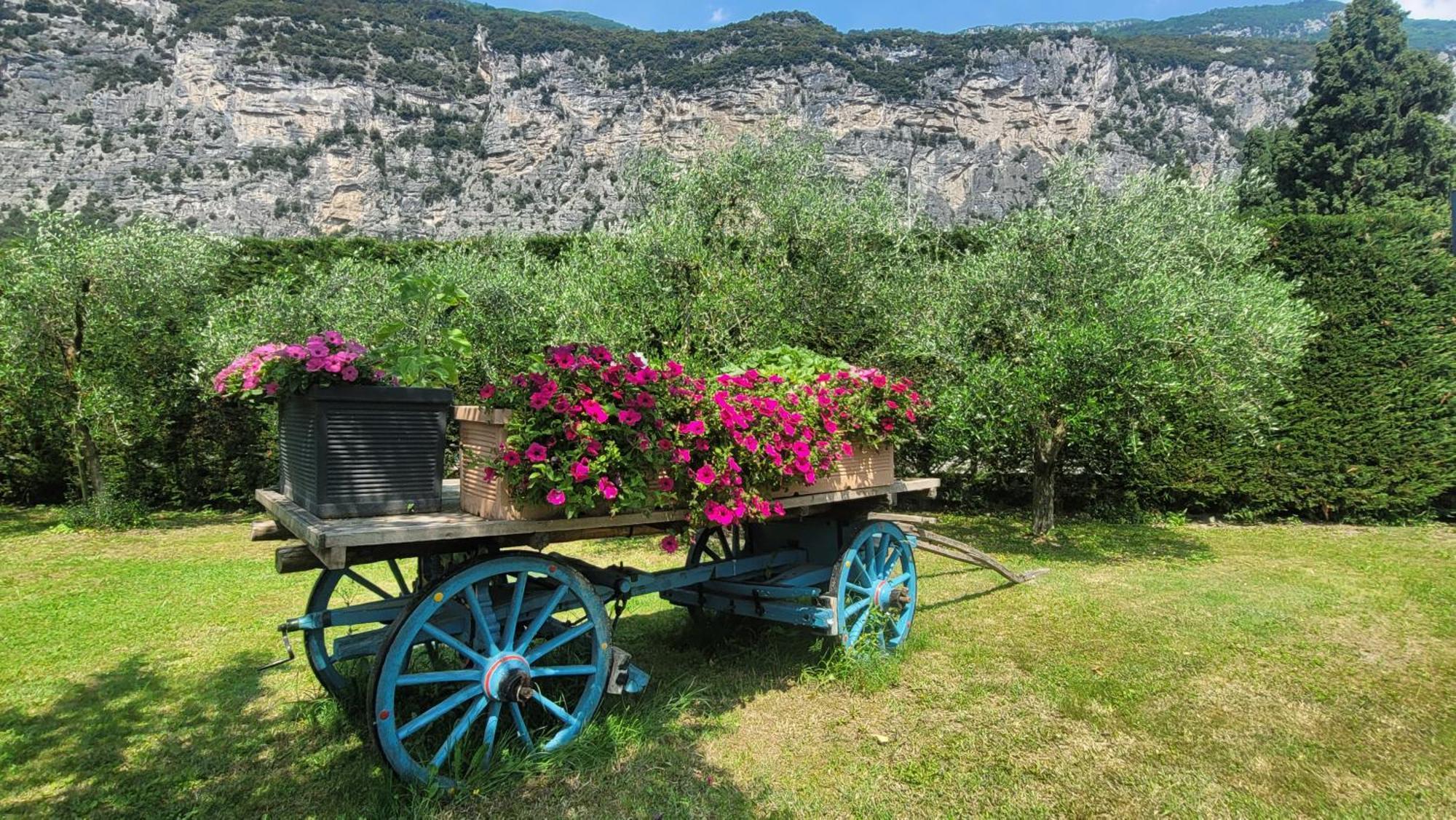 דרו Agriturismo Vin E Amor מראה חיצוני תמונה